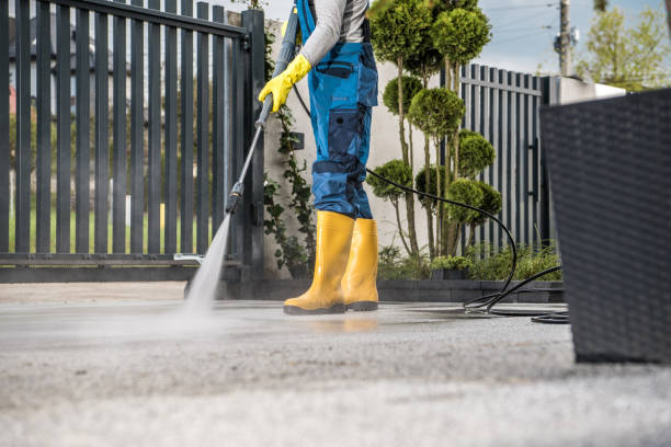 Best Local Pressure Washing Services  in Merton, WI