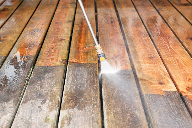 Best Roof Pressure Washing  in Merton, WI