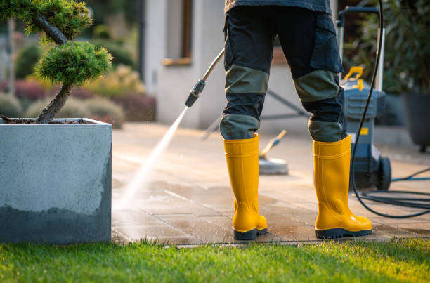 Best Roof Pressure Washing  in Merton, WI